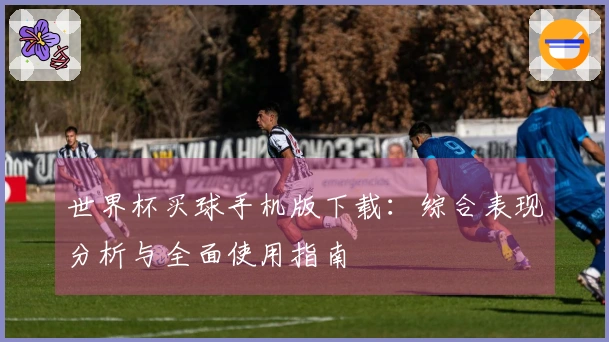 世界杯买球手机版下载：综合表现分析与全面使用指南