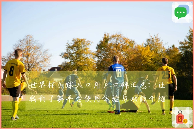 世界杯买球入口用户口碑汇总：让我们了解平台使用体验与功能介绍