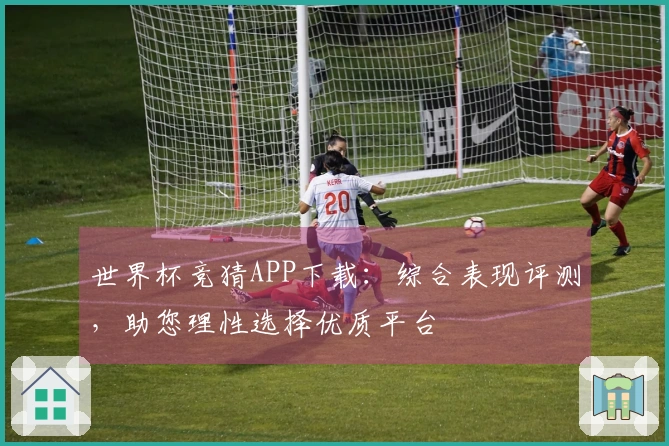 世界杯竞猜APP下载：综合表现评测，助您理性选择优质平台