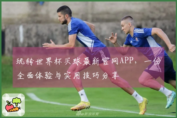 玩转世界杯买球最新官网APP，一份全面体验与实用技巧分享