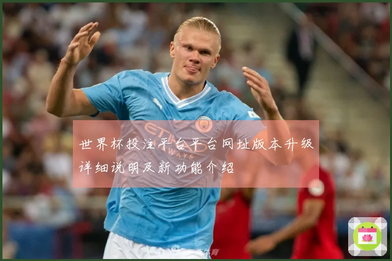 世界杯投注平台平台网址版本升级详细说明及新功能介绍