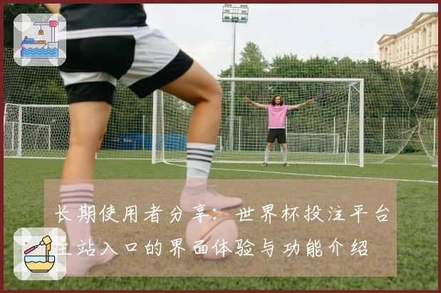 长期使用者分享：世界杯投注平台主站入口的界面体验与功能介绍