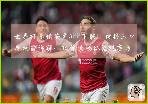 世界杯竞猜安卓APP下载：便捷入口与功能详解，助你流畅体验观赛与互动