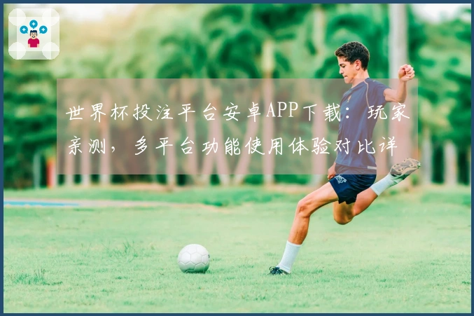 世界杯投注平台安卓APP下载：玩家亲测，多平台功能使用体验对比详解