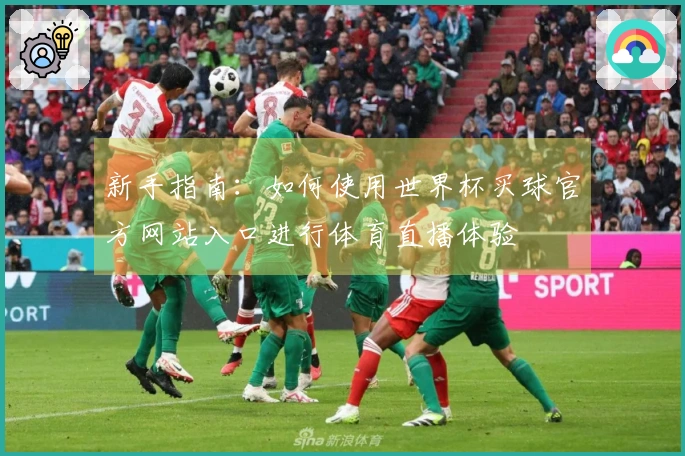 新手指南：如何使用世界杯买球官方网站入口进行体育直播体验
