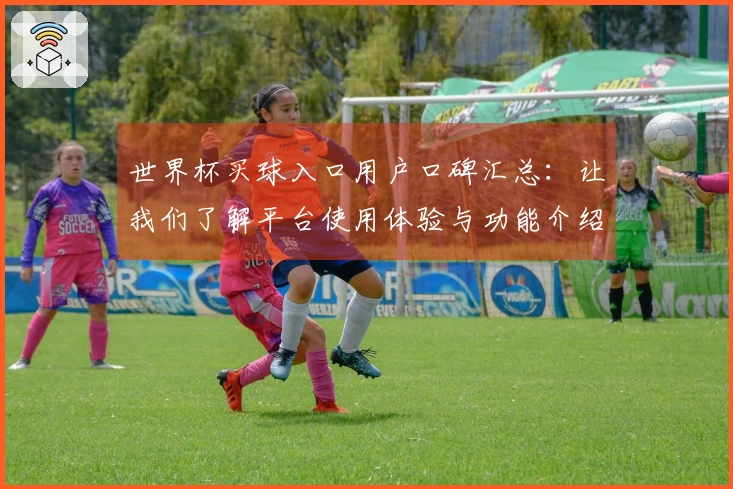 世界杯买球入口用户口碑汇总:让我们了解平台使用体验与功能介绍