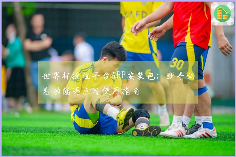 世界杯投注平台APP安装包：新手必看功能亮点与使用指南